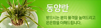 동양란